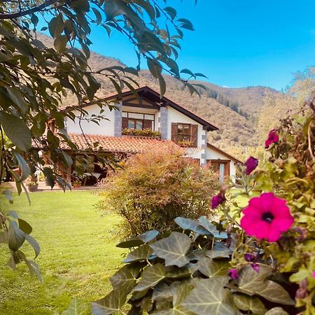 Villa Excepcional Casa El Olivo Ojedo Esterno foto